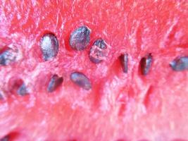 fresh fruits and vegetables photo