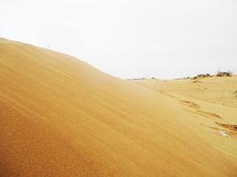 Waves of sand texture. Dunes of the desert. Desert dunes sunset landscape. photo