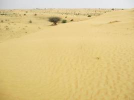 Waves of sand texture. Dunes of the desert. Desert dunes sunset landscape. photo