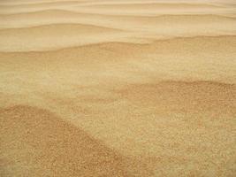 olas de textura de arena. dunas del desierto. paisaje de puesta de sol de dunas del desierto. foto