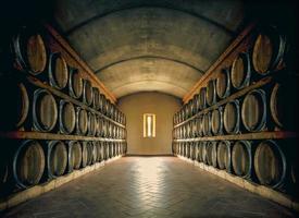 Cellar with wine barrels photo