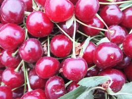 fresh fruits and vegetables photo