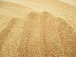 Waves of sand texture. Dunes of the desert. Desert dunes sunset landscape. photo