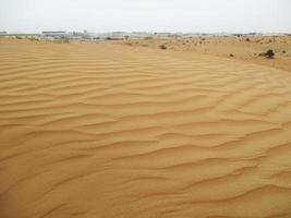 Waves of sand texture. Dunes of the desert. Desert dunes sunset landscape. photo