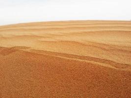 olas de textura de arena. dunas del desierto. paisaje de puesta de sol de dunas del desierto. foto