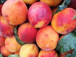 fresh fruits and vegetables photo