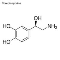 fórmula esquelética de norepinefrina vector