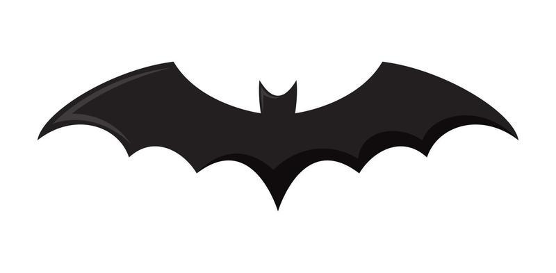 Bat isolated on white background