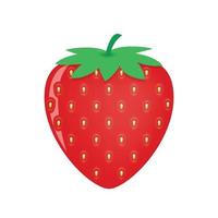 Garden strawberry icon isolated on white. for your design vector