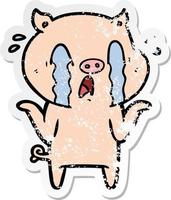 distressed sticker of a crying pig cartoon vector