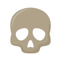 Skull isolated on white background vector