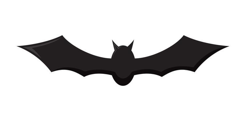 Bat isolated on white background