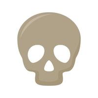 Skull isolated on white background vector