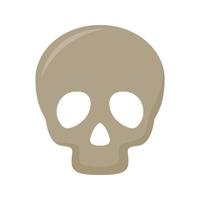 Skull isolated on white background vector