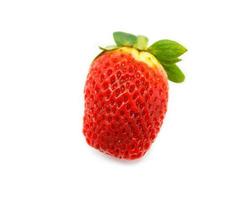 strawberry isolated on white background photo