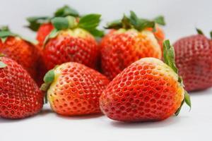 Strawberries on white background photo