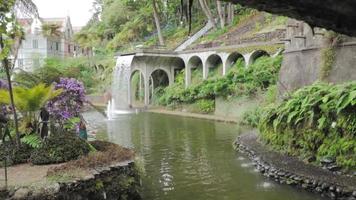 damm och vattenfall funktion i frodig Monte palats tropisk trädgård i madeira, Funchal, portugal video