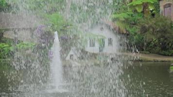 fuente de agua en el exuberante jardín tropical monte palace en madeira, funchal, portugal video