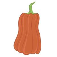 ilustración aislada de vector plano de calabaza naranja de otoño estacional