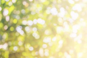 abstract green background with bokeh photo