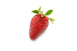 Strawberry on white background photo