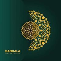 Mandala Background Design vector