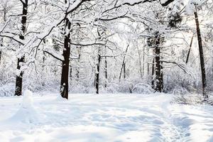 snowman on snowy glade in oak grove in forest photo
