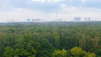 forest and city on horizon on rainy day photo