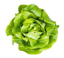 top view of fresh butterhead lettuce isolated photo