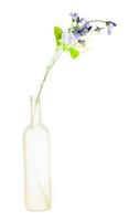 flor artificial en botella de vidrio esmerilado aislada foto