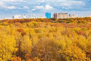 above view of yellow city park on sunny day photo