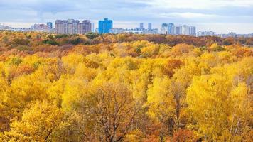 panoramic view of park in sunny autumn morning photo