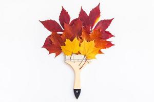 Paint brush with dry bright autumn leaves concept photo