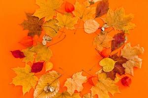 Dry leaves wreath frame on orange color background photo