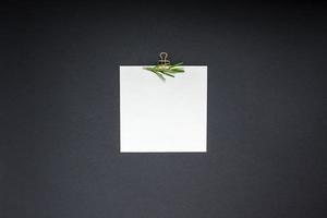 Blank notepad page with greens herbs and spices photo