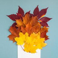 Autumn leaves in paper envelope mockup photo