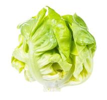 little head of fresh boston round lettuce isolated photo