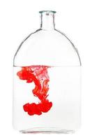 red ink dissolves in water in glass flask isolated photo