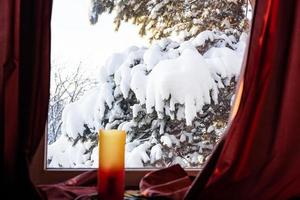 vista del pino nevado en el patio trasero en la ventana foto