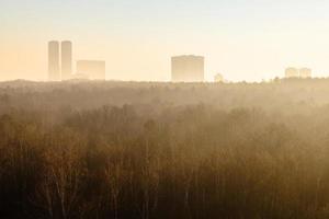 casas de parques y torres iluminadas por el sol amarillo del amanecer foto