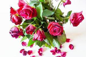 above view of bouquet of withered red rose flowers photo
