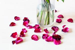 fallen petals of red rose flower near glass vase photo