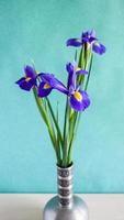 ramo de flores de iris en jarrón de peltre en la mesa foto