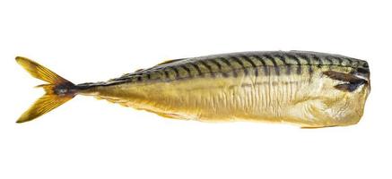 cold smoked headless mackerel isolated on white photo