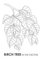 VECTOR SKETCH OF A BIRCH TWIG ON A WHITE BACKGROUND