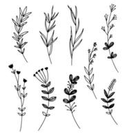 ilustraciones vectoriales - un conjunto de flores gráficas, plantas. 9 elementos de diseño estilo boceto dibujados a mano. perfecto para crear estampados, patrones, tatuajes, etc. vector