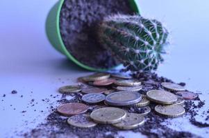 Roll ladder of coins money with cactus tree on pottery in background photo