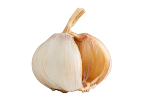 slice garlic isolated png