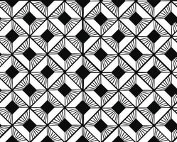 Textil de adorno de patrones sin fisuras rítmicos en blanco y negro vector