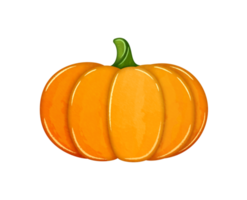 Cute watercolor pumpkin clipart png